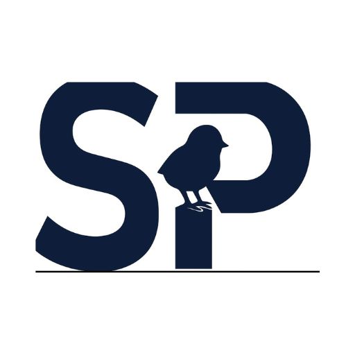 Strategic Insurance Professionals